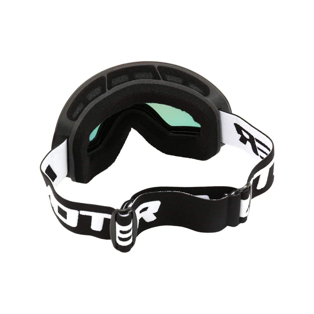 Ski Goggles