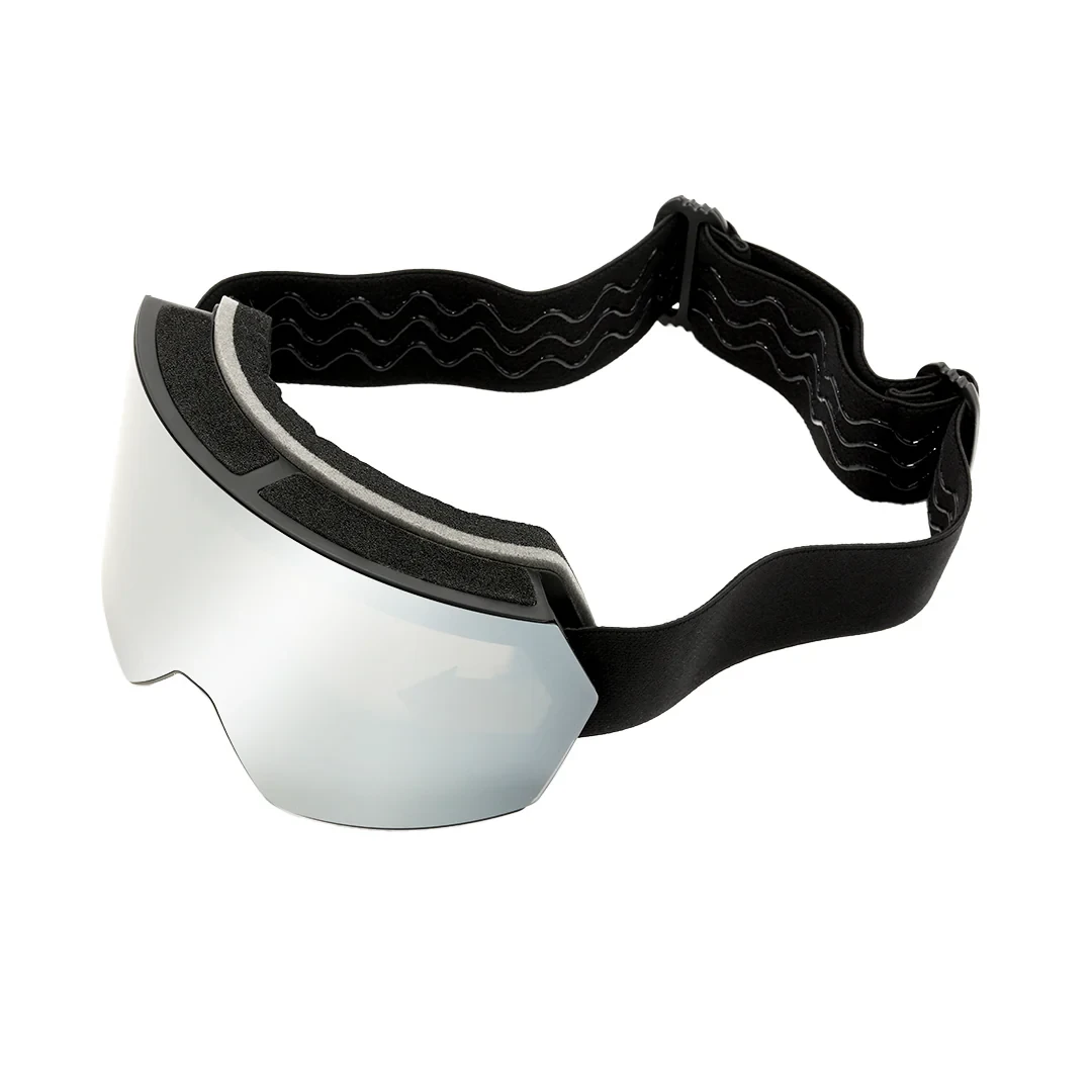 Ski Goggles