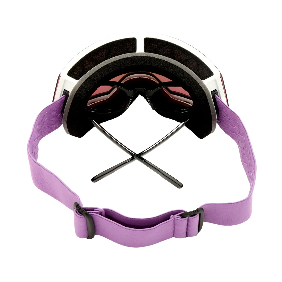 Ski Goggles