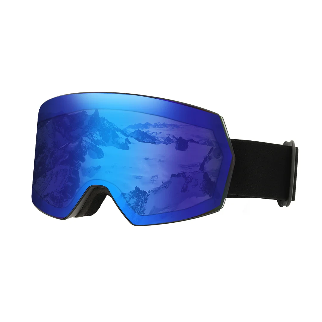 Ski Goggles