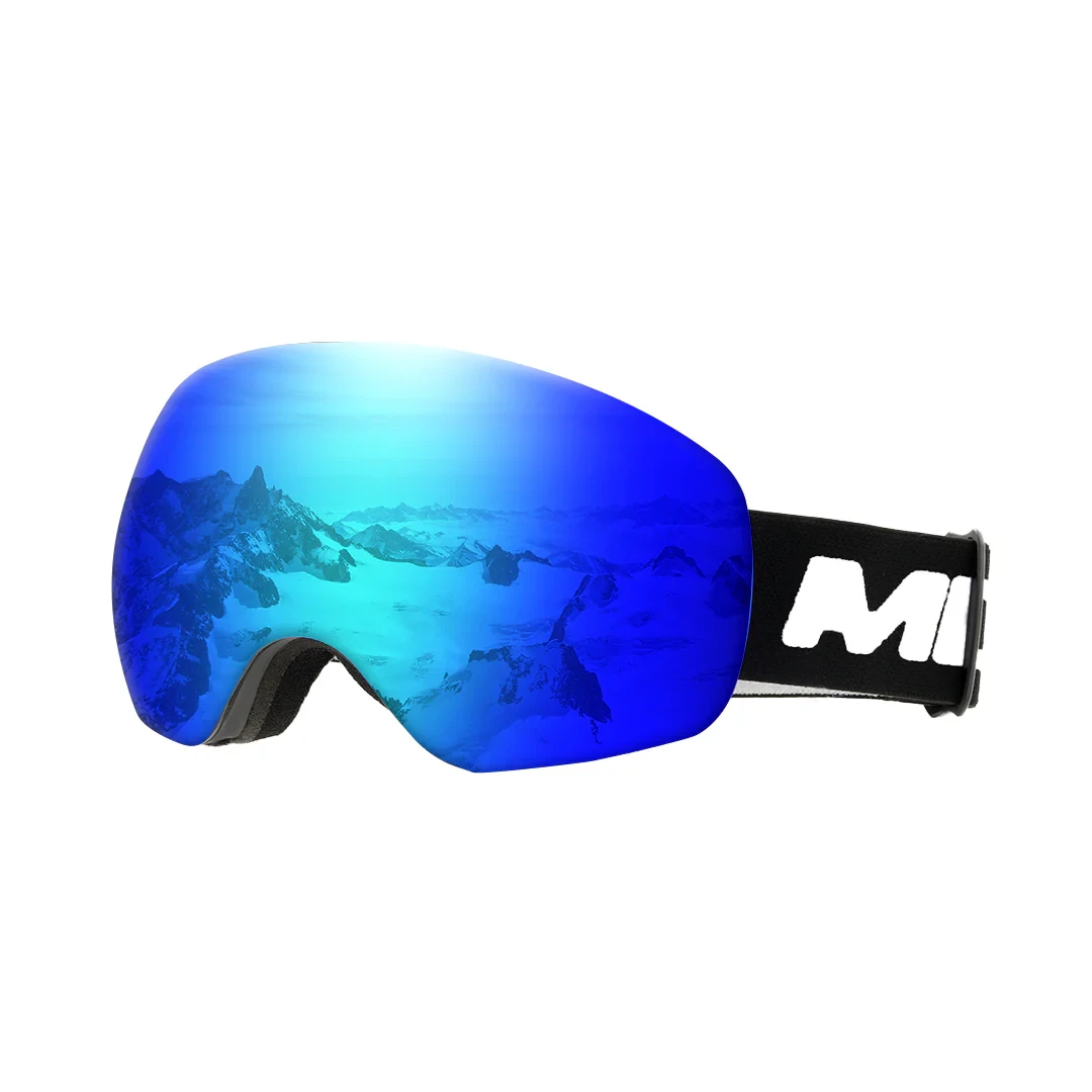 Ski Goggles