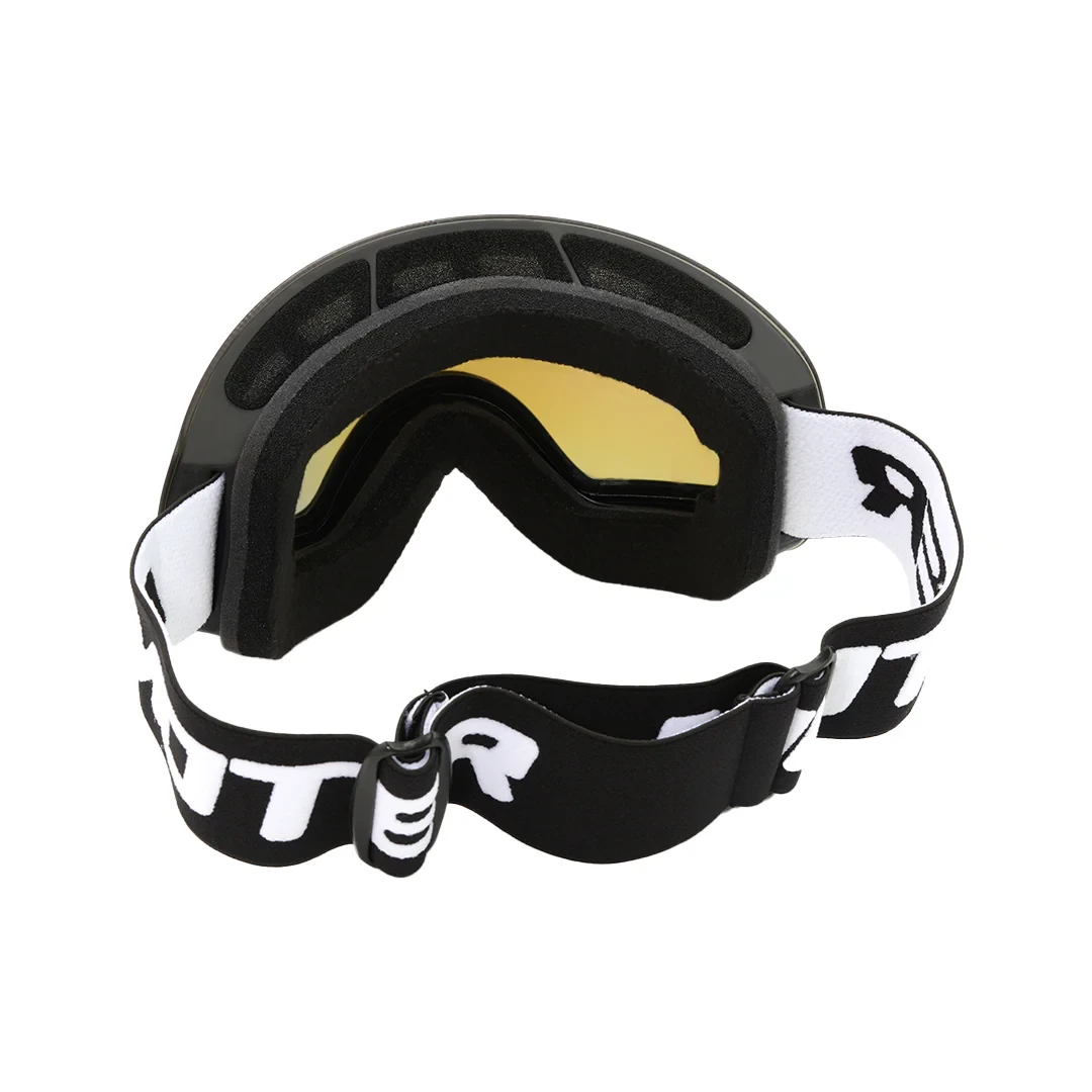 Ski Goggles