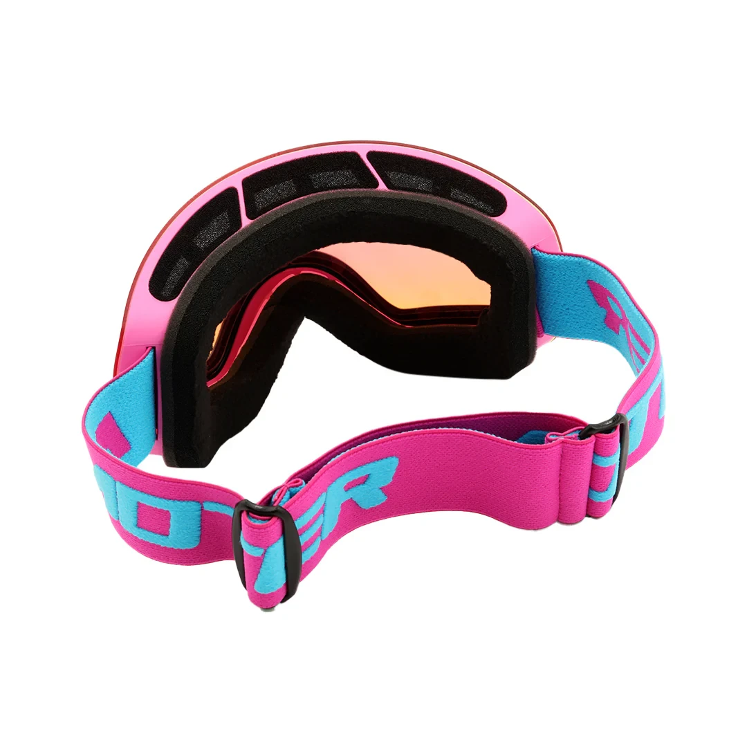 Ski Goggles