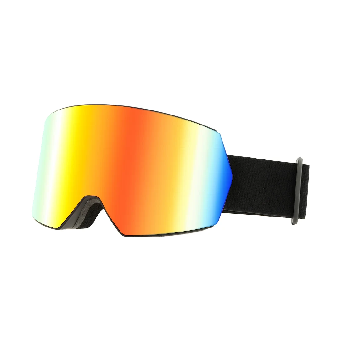 Ski Goggles