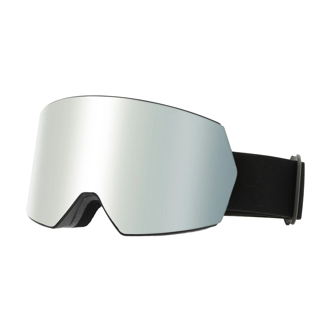 Ski Goggles