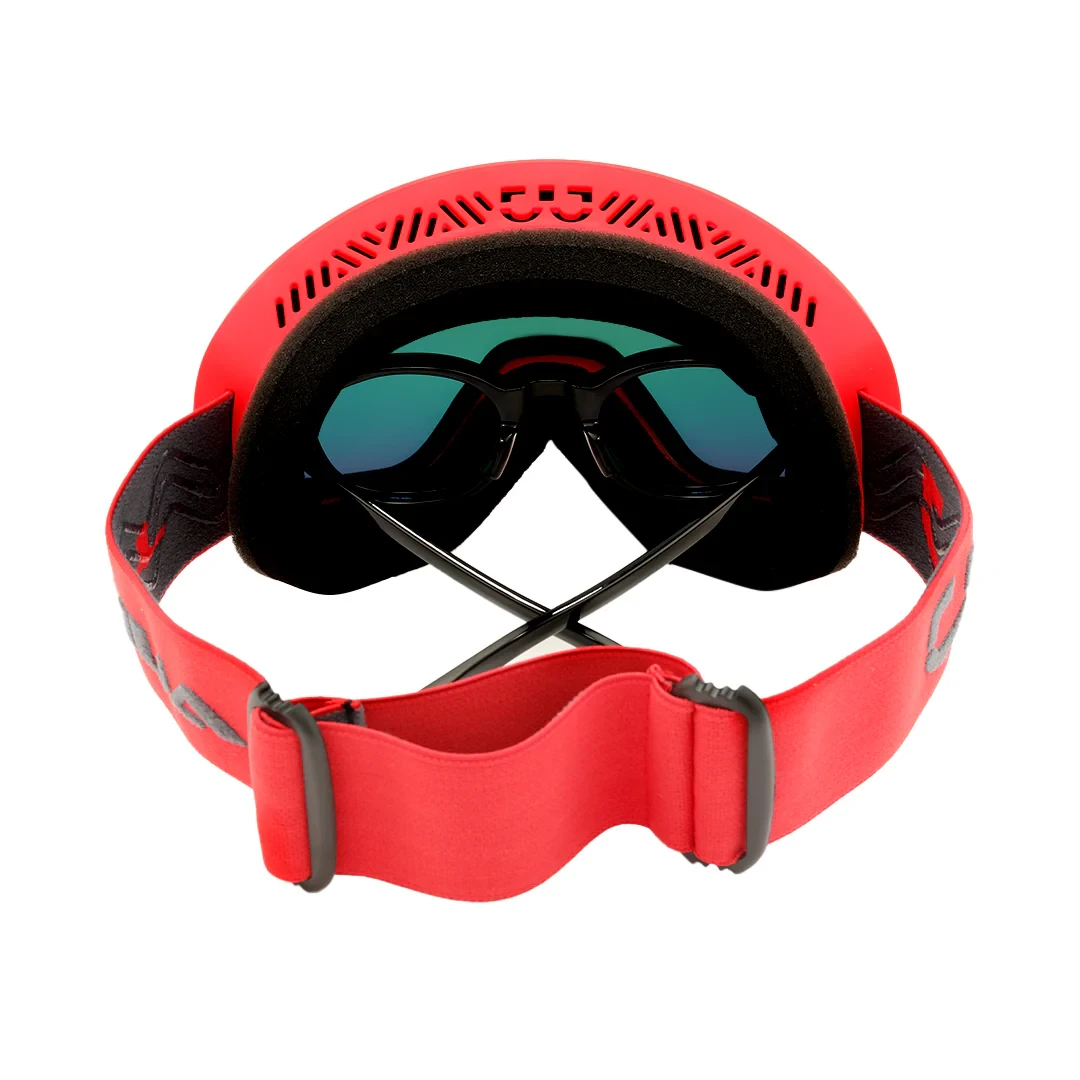 Ski Goggles