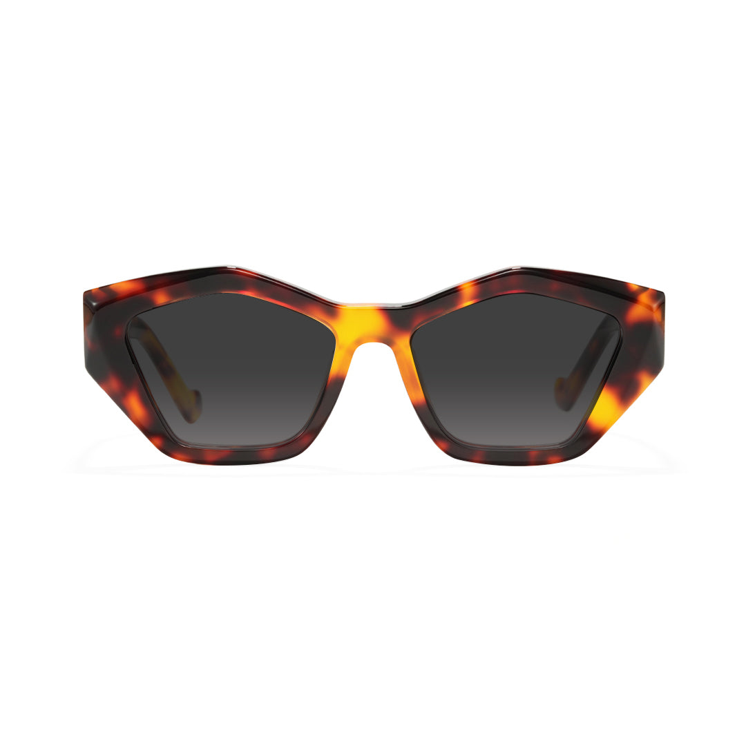 Sun Glasses Acetate Frames