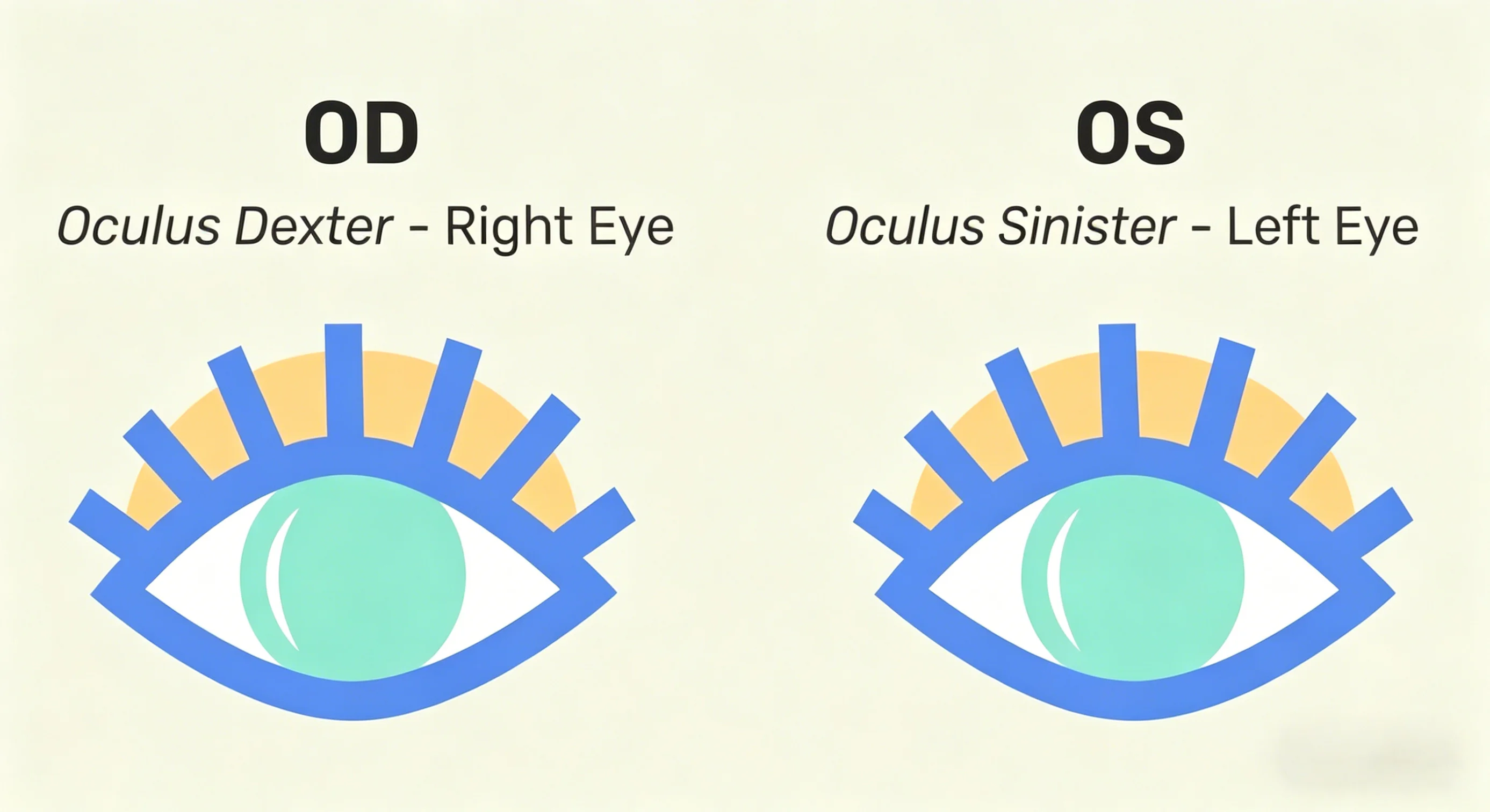 Illustration showing the symbols OD (Oculus Dexter - Right Eye) and OS (Oculus Sinister - Left Eye) with simple, colorful eye designs representing the right and left eyes respectively.