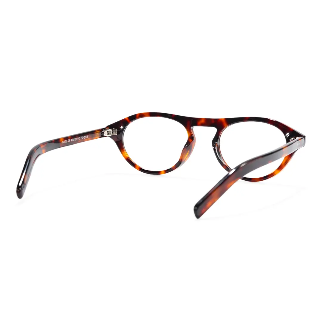 Back view of Sylvan vintage aviator acetate eyeglasses AA0222603 in tortoise