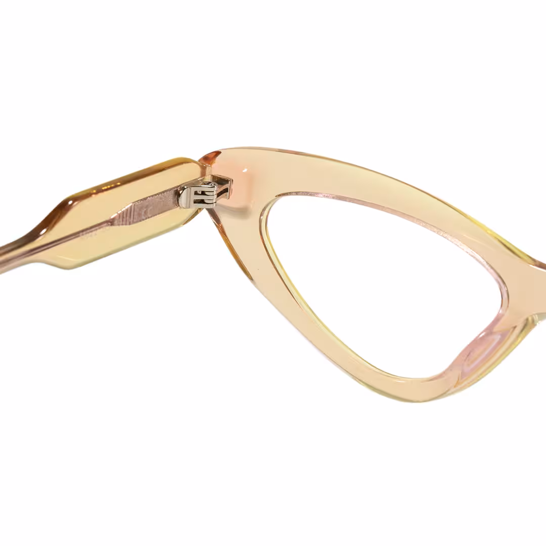 Hinge detail of Wynr office siren cat eye acetate eyeglasses CA0462605 in brown