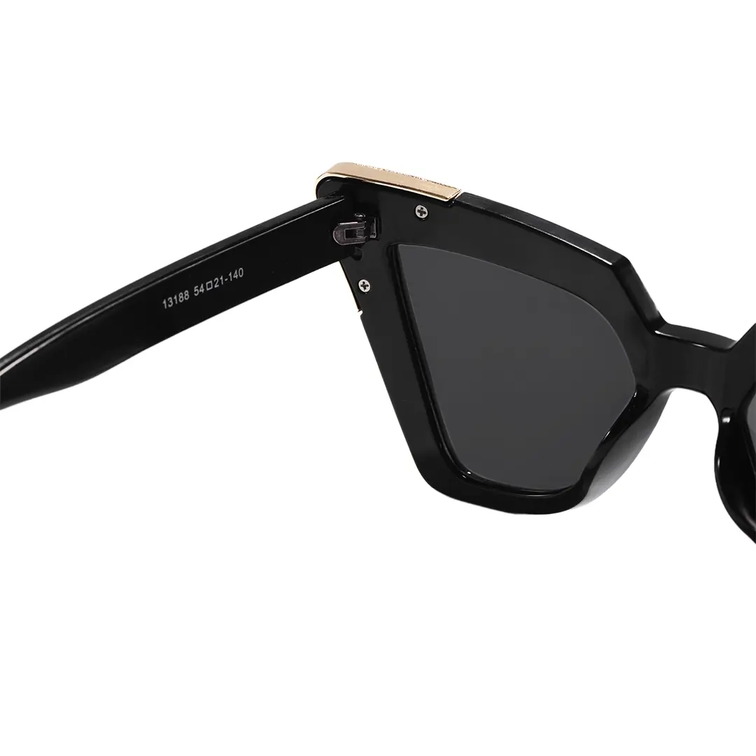 Hinge detail of Nalani cat eye pc sunglasses CP0222604 in black