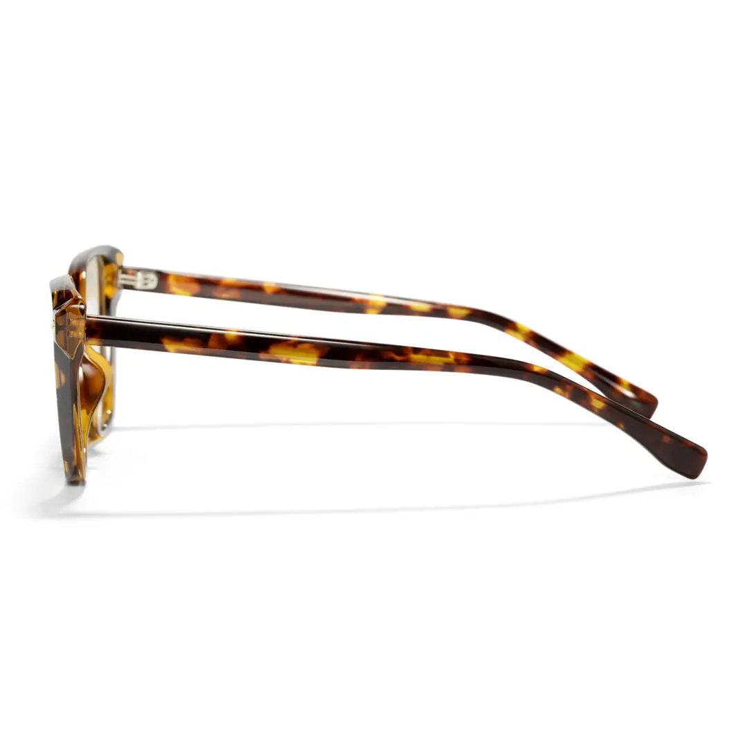 Side view of Raymond cat eye tr90 eyeglasses CR0252411 in tortoise