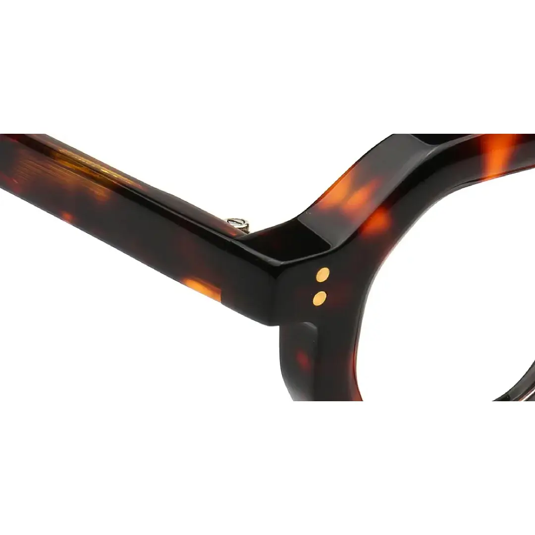 Frame detail view of Apical geometric acetate eyeglasses GA0052310 in tortoise