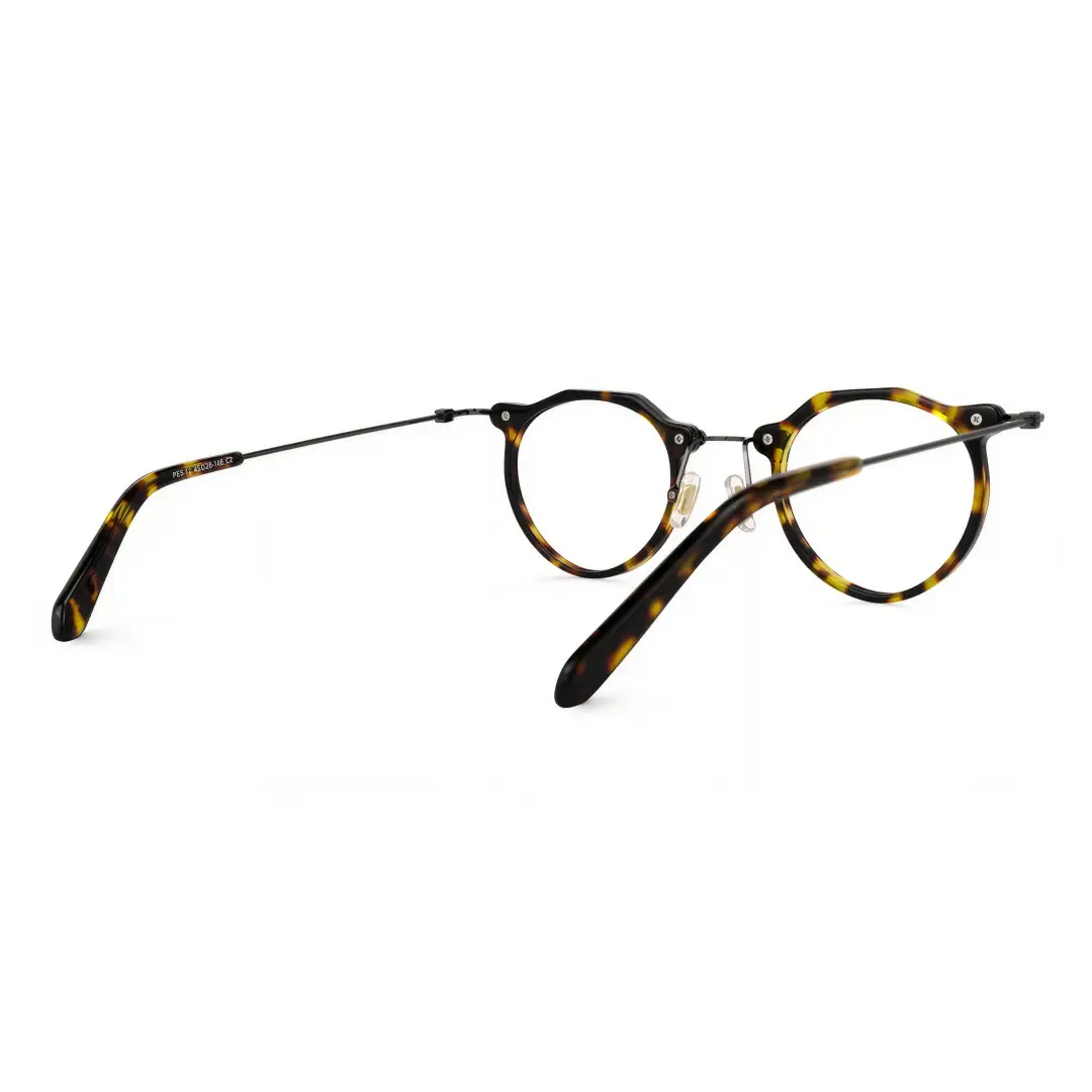 Back view of Lvis steampunk geometric acetate eyeglasses GA0072307 in tortoise