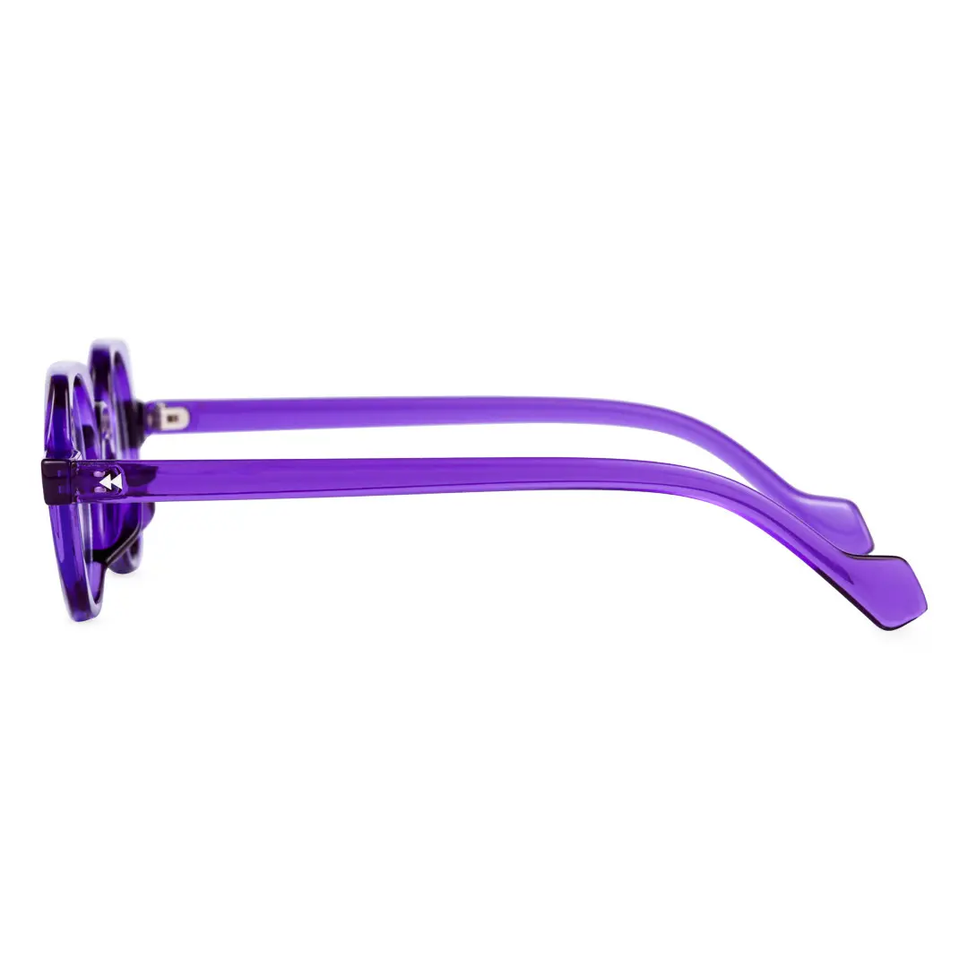Side view of Rust geometric pc eyeglasses GP0342411 in purple