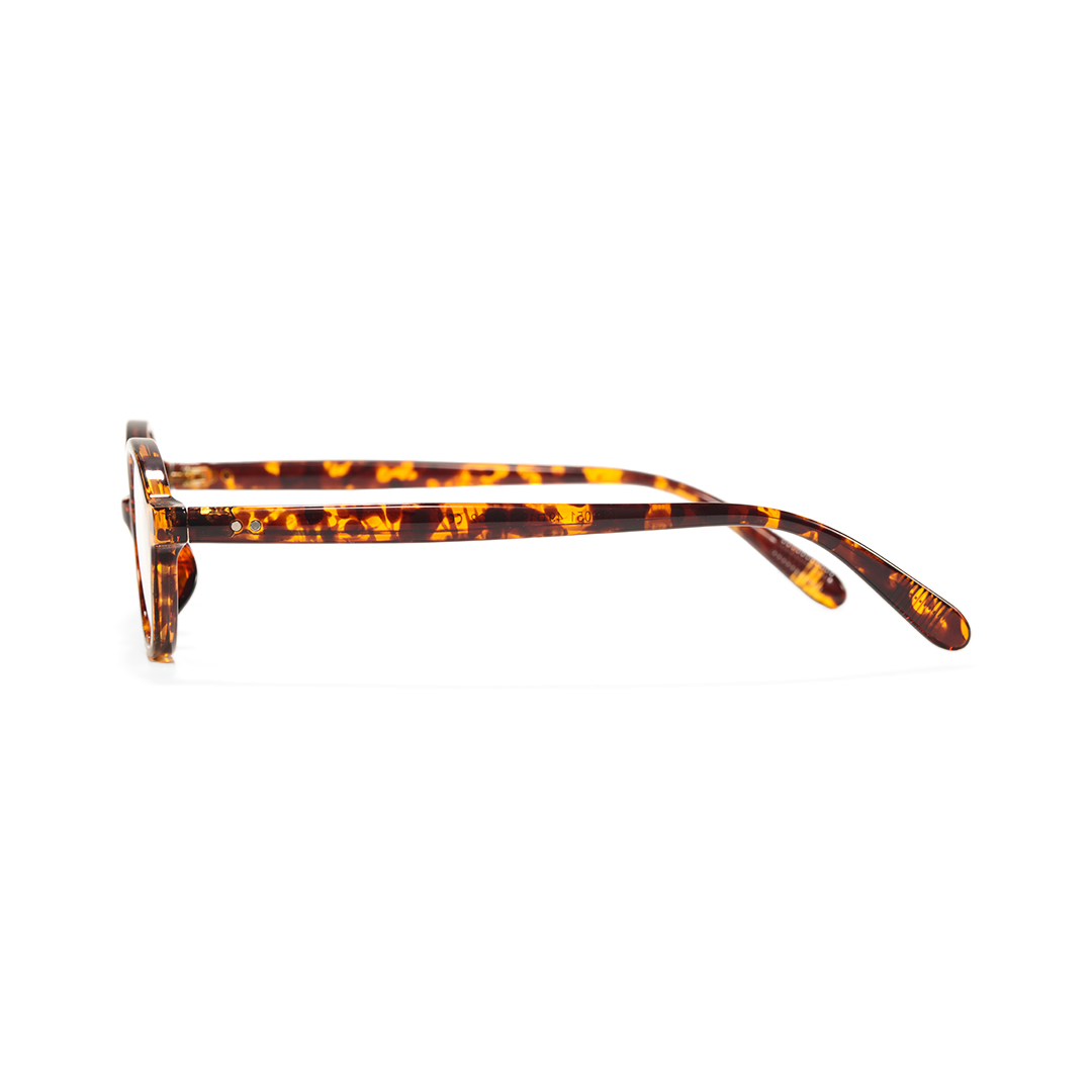 Side view of Isral y2k oval tr90 eyeglasses OR0312402 in tortoise