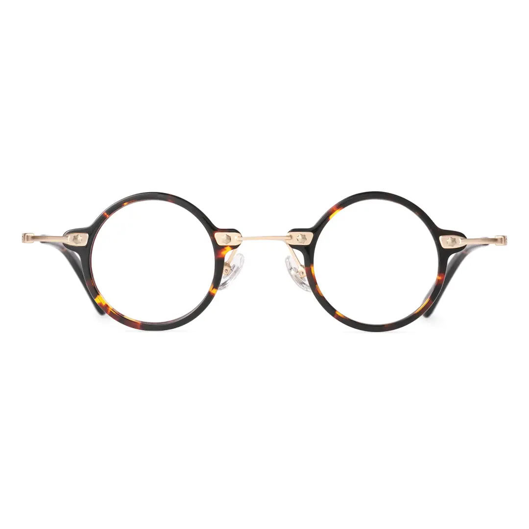 Front view of Tiiy steampunk round acetate eyeglasses RA0092309 in tortoise