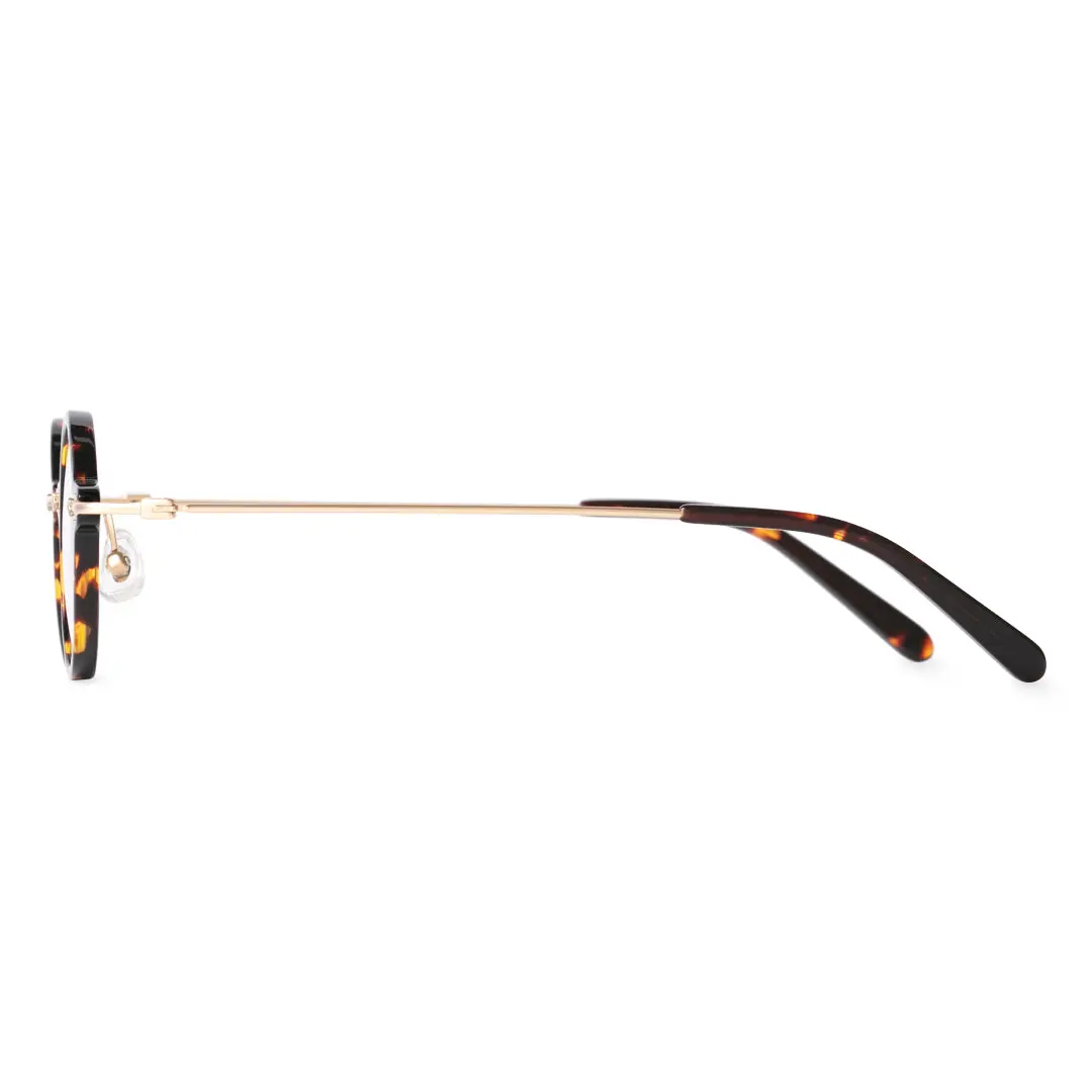 Side view of Tiiy steampunk round acetate eyeglasses RA0092309 in tortoise