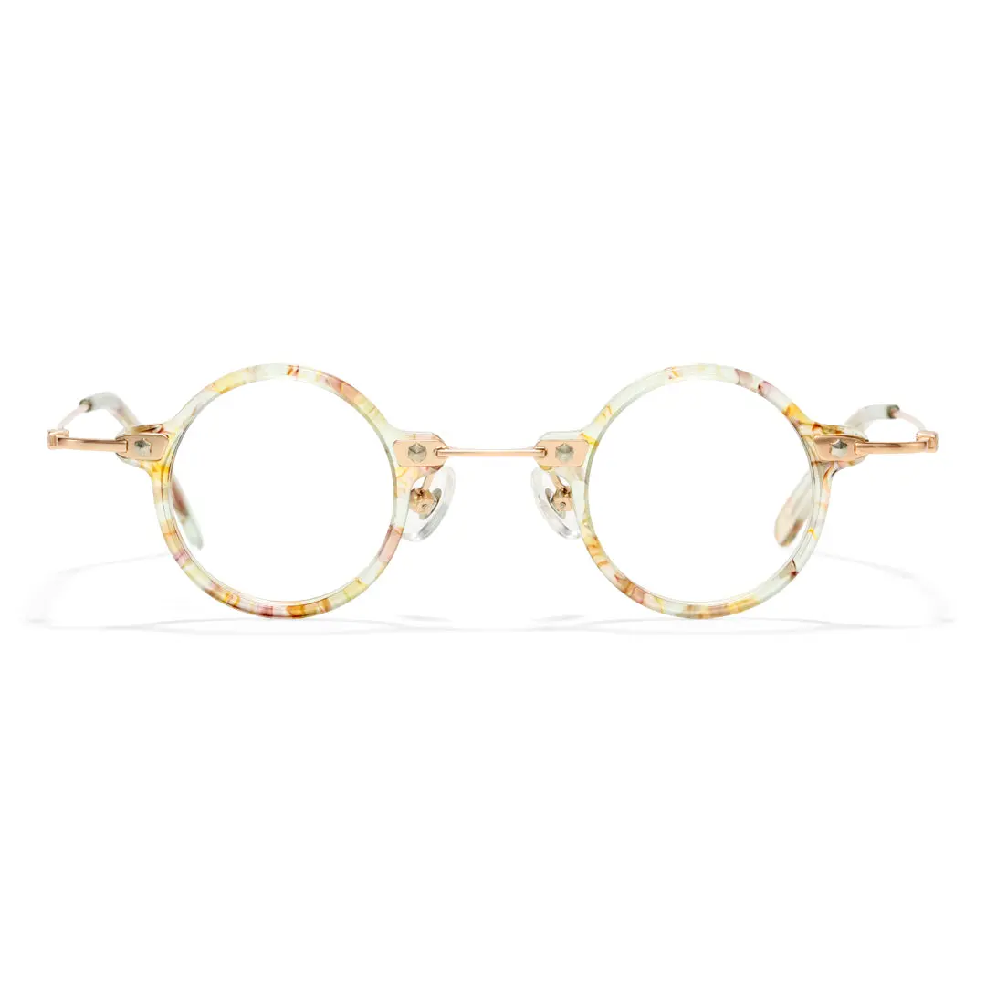 Front view of Jeremy steampunk round acetate eyeglasses RA0142402 in clearmulticolor