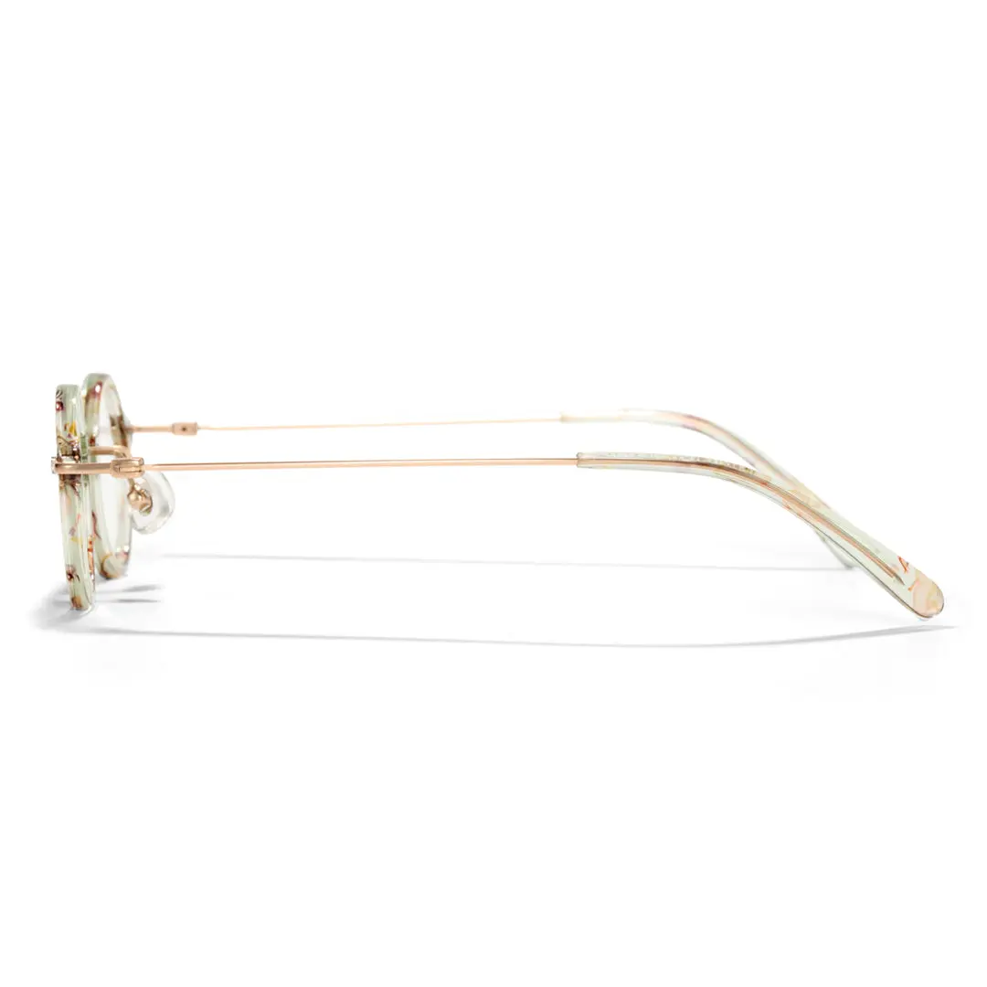 Side view of Jeremy steampunk round acetate eyeglasses RA0142402 in clearmulticolor