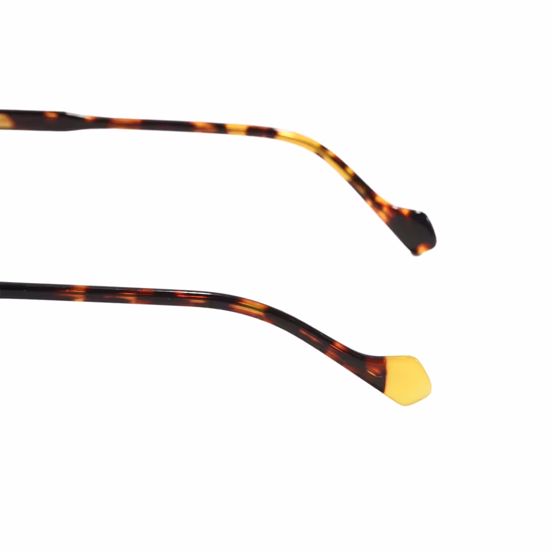 Temple detail of Dola vintage round acetate eyeglasses RA0322504 in tortoise