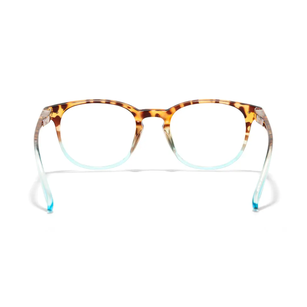 Back view of Baya round pc eyeglasses RP0052502 in two-tone