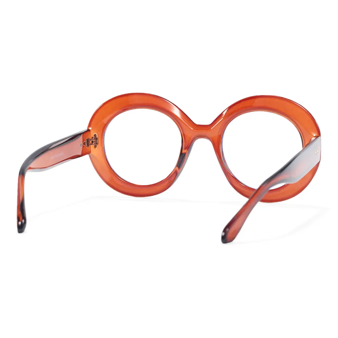 Back view of Cllci round pc eyeglasses RP0322406 in brown