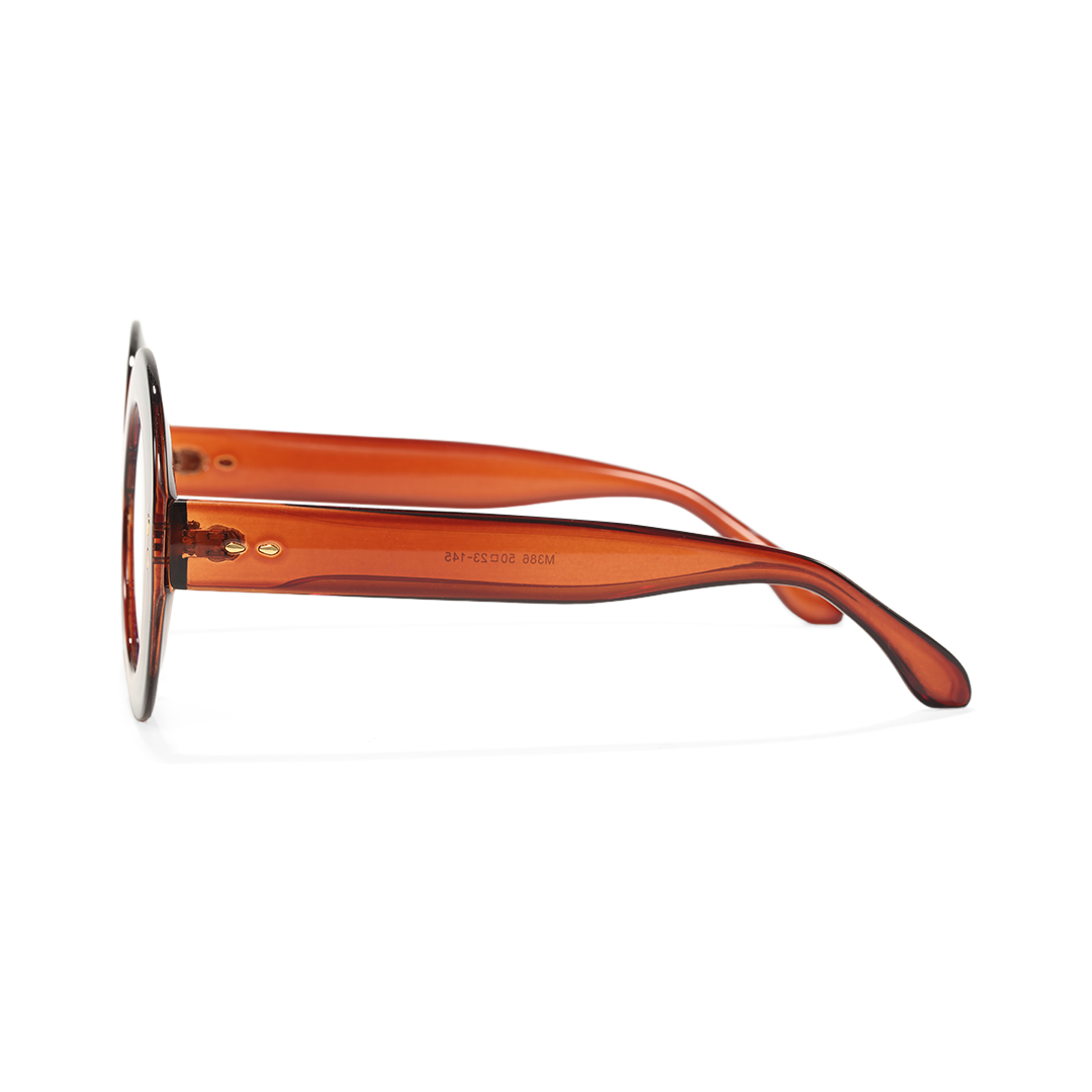 Side view of Cllci round pc eyeglasses RP0322406 in brown