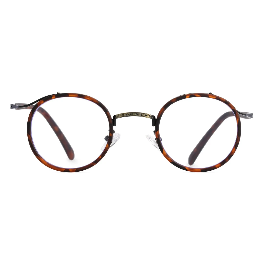 Front view of Kayla vintage round tr90 eyeglasses RR0192209 in tortoise
