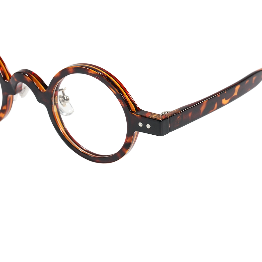 Frame detail view of Wesley vintage round tr90 eyeglasses RR0322601 in tortoise