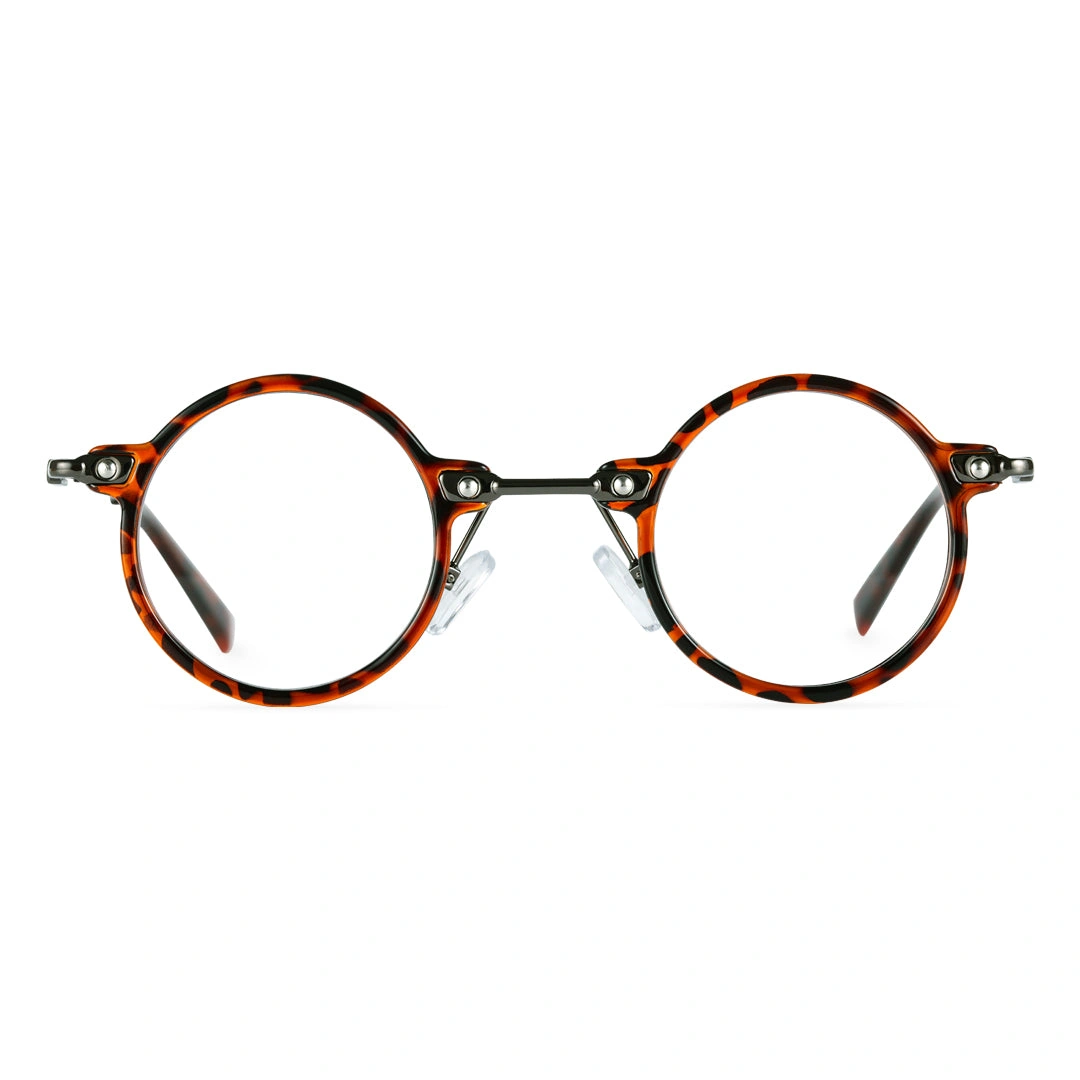 Front view of Ivy steampunk round titanium eyeglasses RT0302405 in tortoise