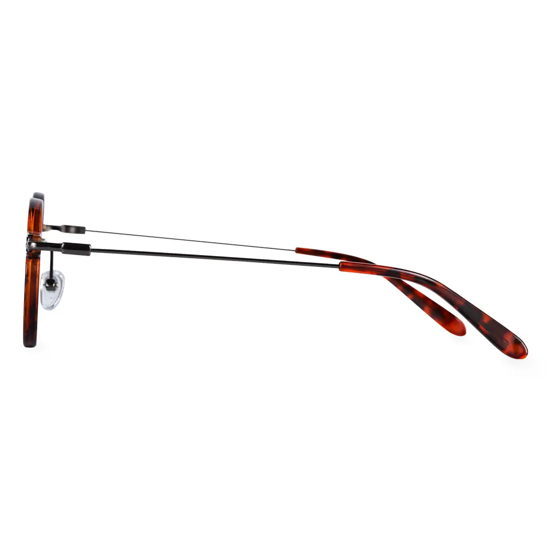 Side view of Ivy steampunk round titanium eyeglasses RT0302405 in tortoise