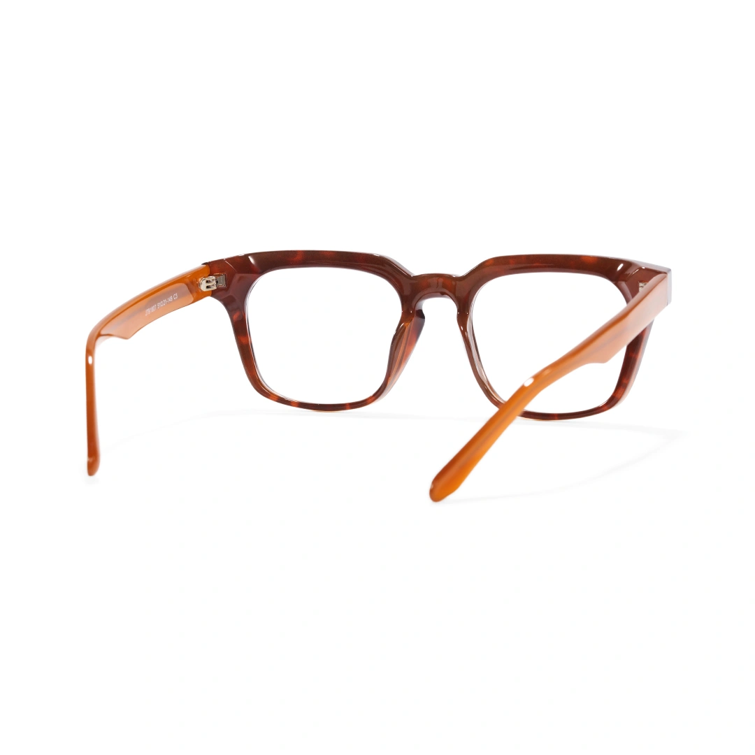 Back view of Toby square acetate eyeglasses SA00152508 in tortoise