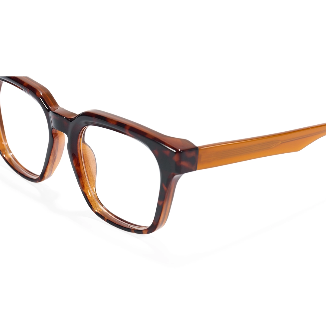 Frame detail view of Toby square acetate eyeglasses SA00152508 in tortoise