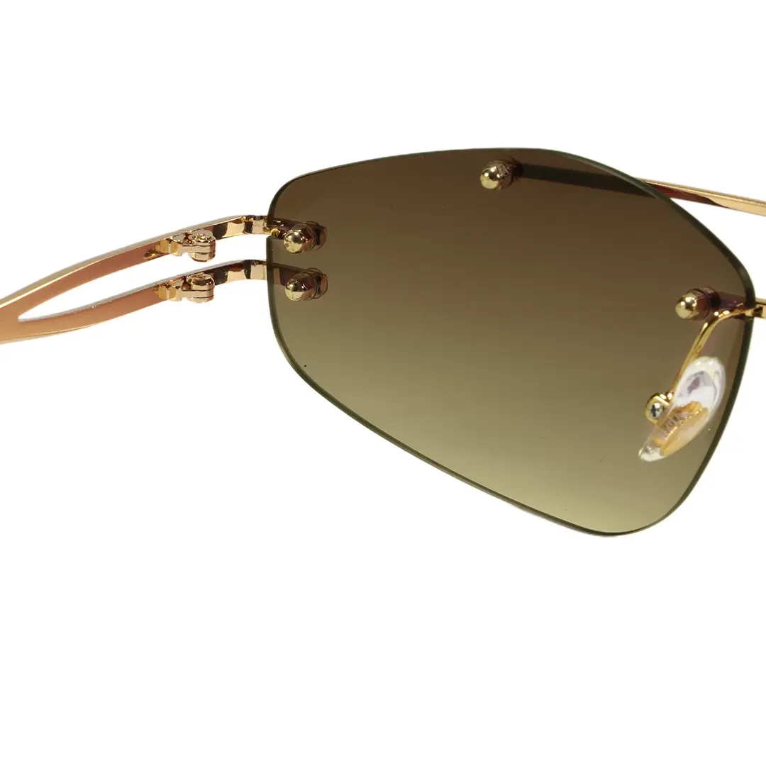 Hinge detail of Moss fashion aviator metal sunglasses AM0202604 in gold
