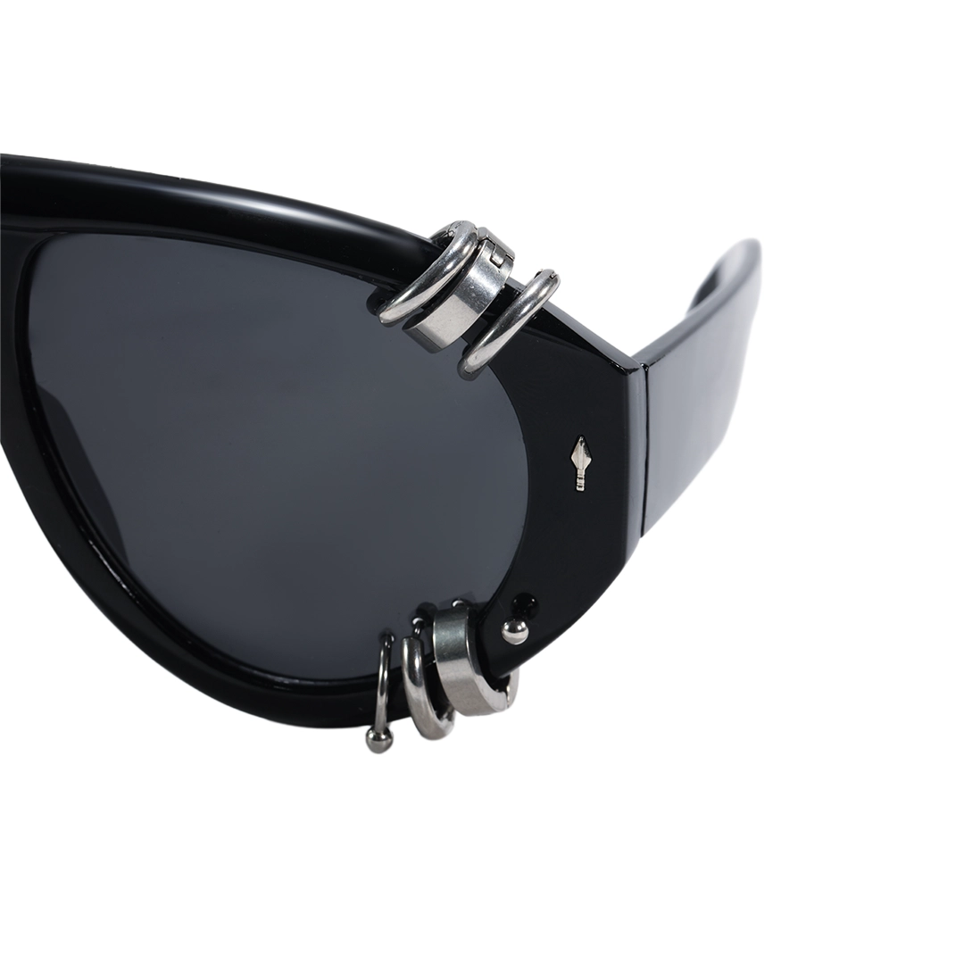 End piece detail of Wisp aviator pc sunglasses AP0082604 in silver