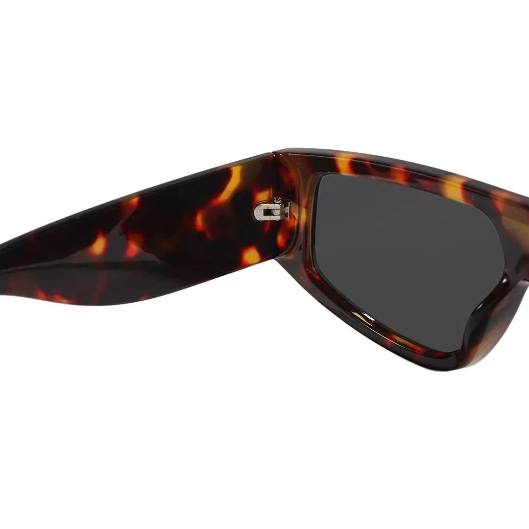 Hinge detail of Kaelen fashion aviator pc sunglasses AP0092604 in tortoise