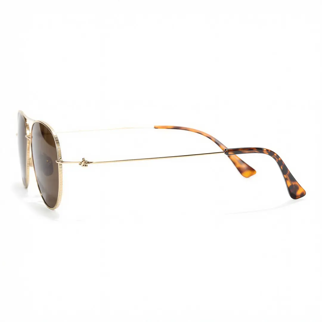 Side view of Apex aviator titanium sunglasses AT0262601S in brown