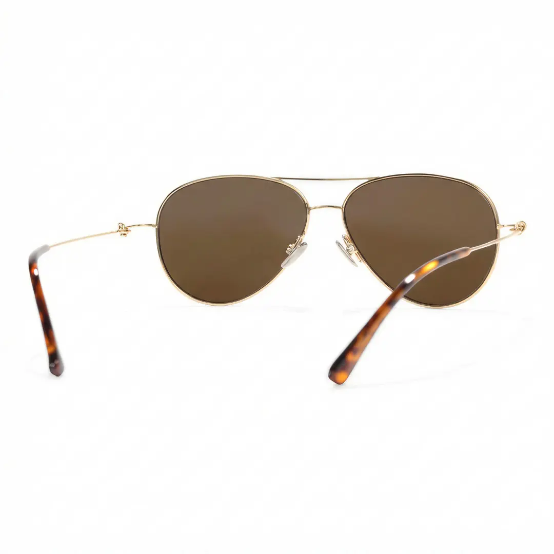 Back view of Apex vintage aviator titanium sunglasses AT0262601S in brown