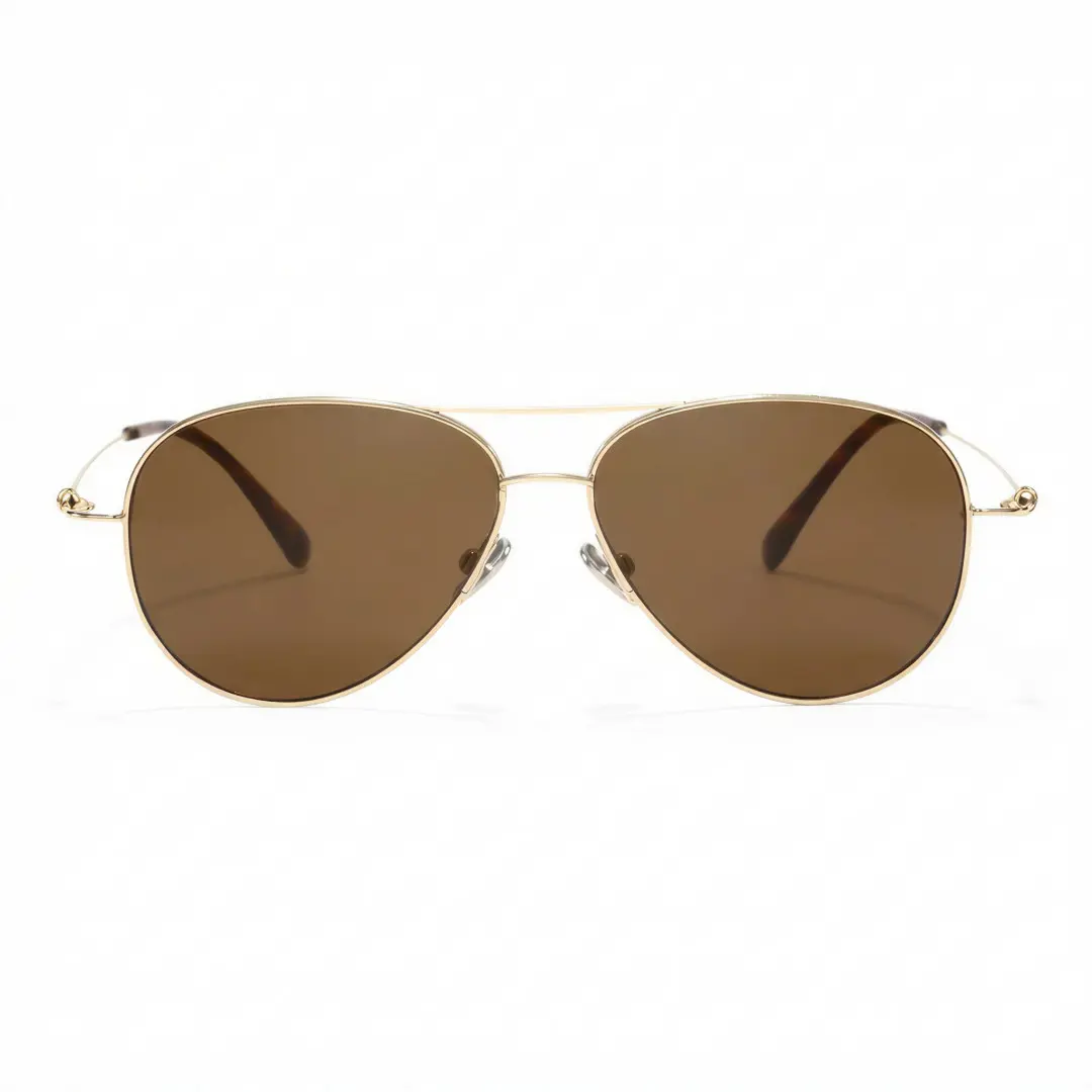 Front view of Apex vintage aviator titanium sunglasses AT0262601S in brown