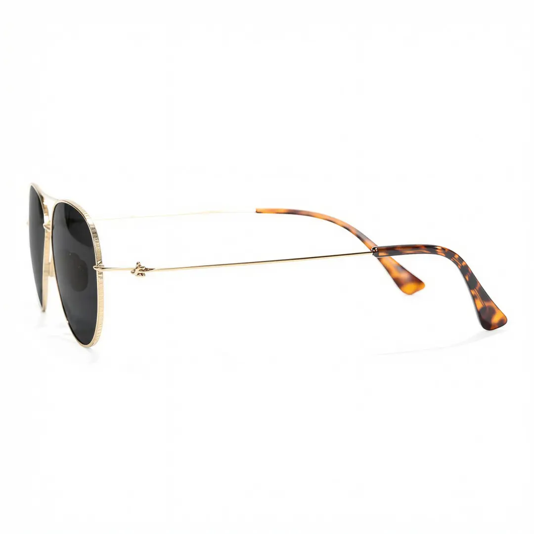 Side view of Apex aviator titanium sunglasses AT0262601S in gray