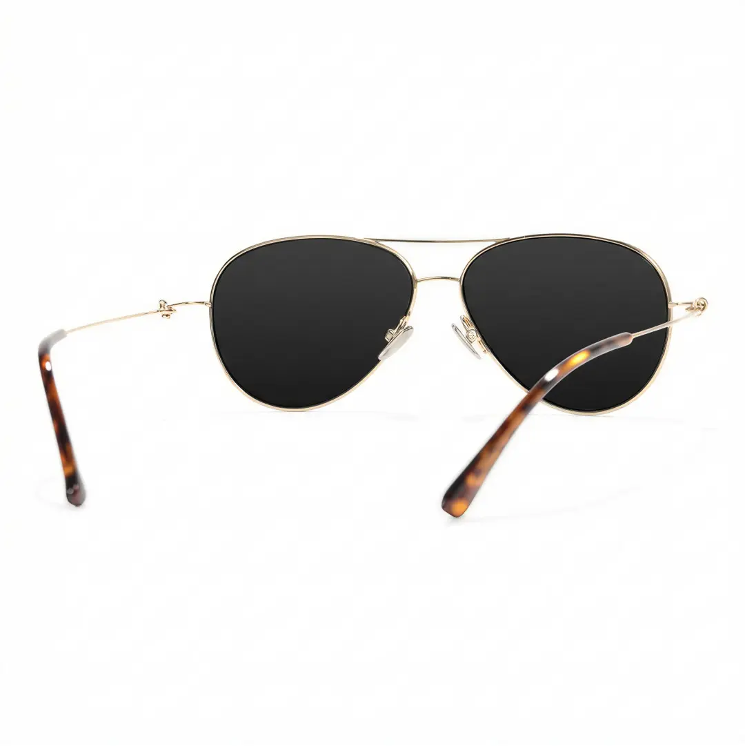 Back view of Apex vintage aviator titanium sunglasses AT0262601S in gray