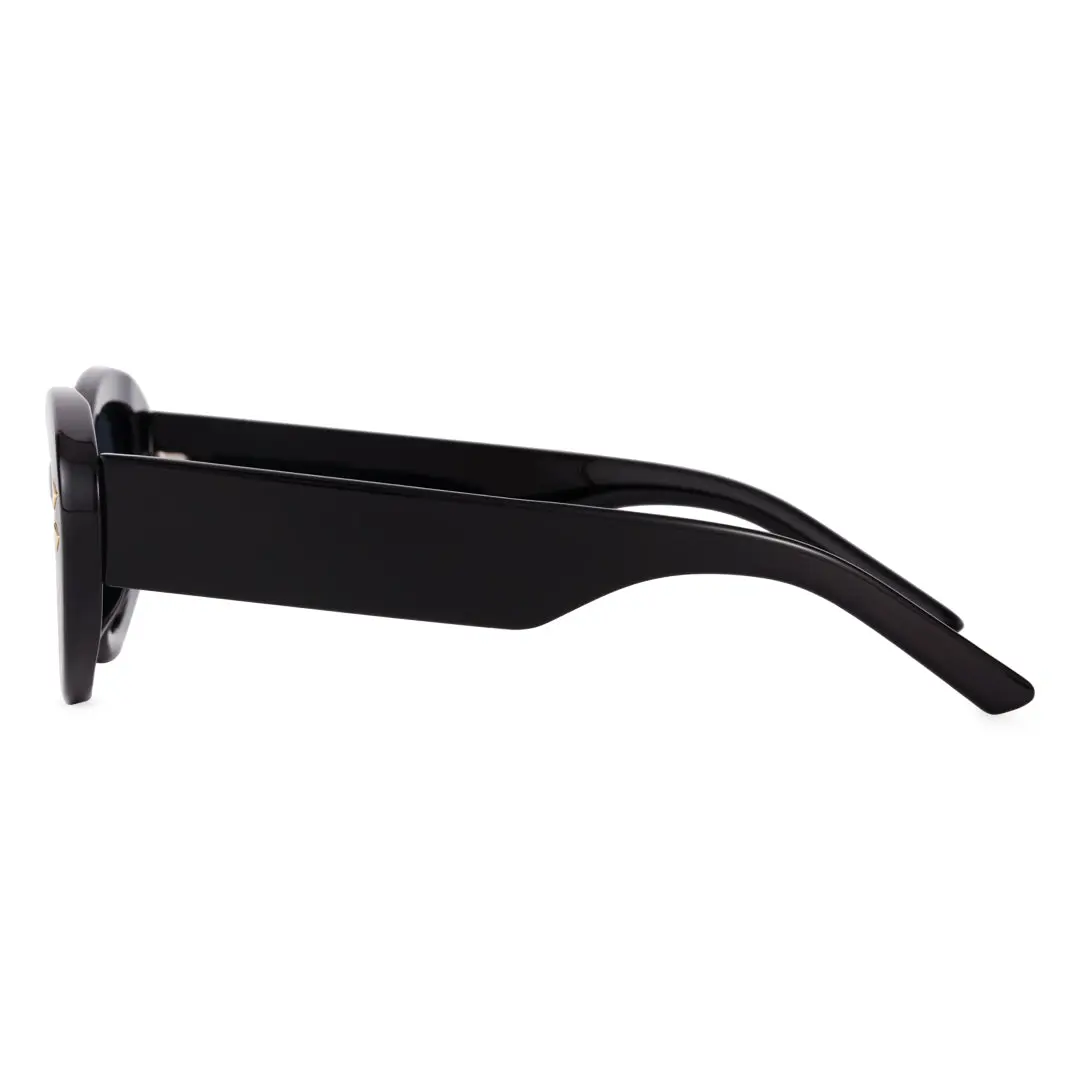 Side view of Awilda fashion cat eye pc sunglasses CP0012212 in black