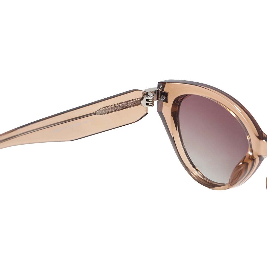 Hinge detail of Zoe cat eye tr90 sunglasses CR0042604 in brown