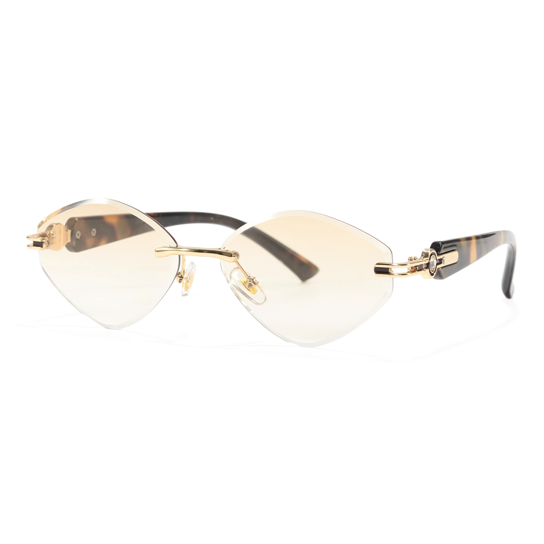 Angle view of Ayla fashion geometric pc sunglasses GP0102604 in tortoise