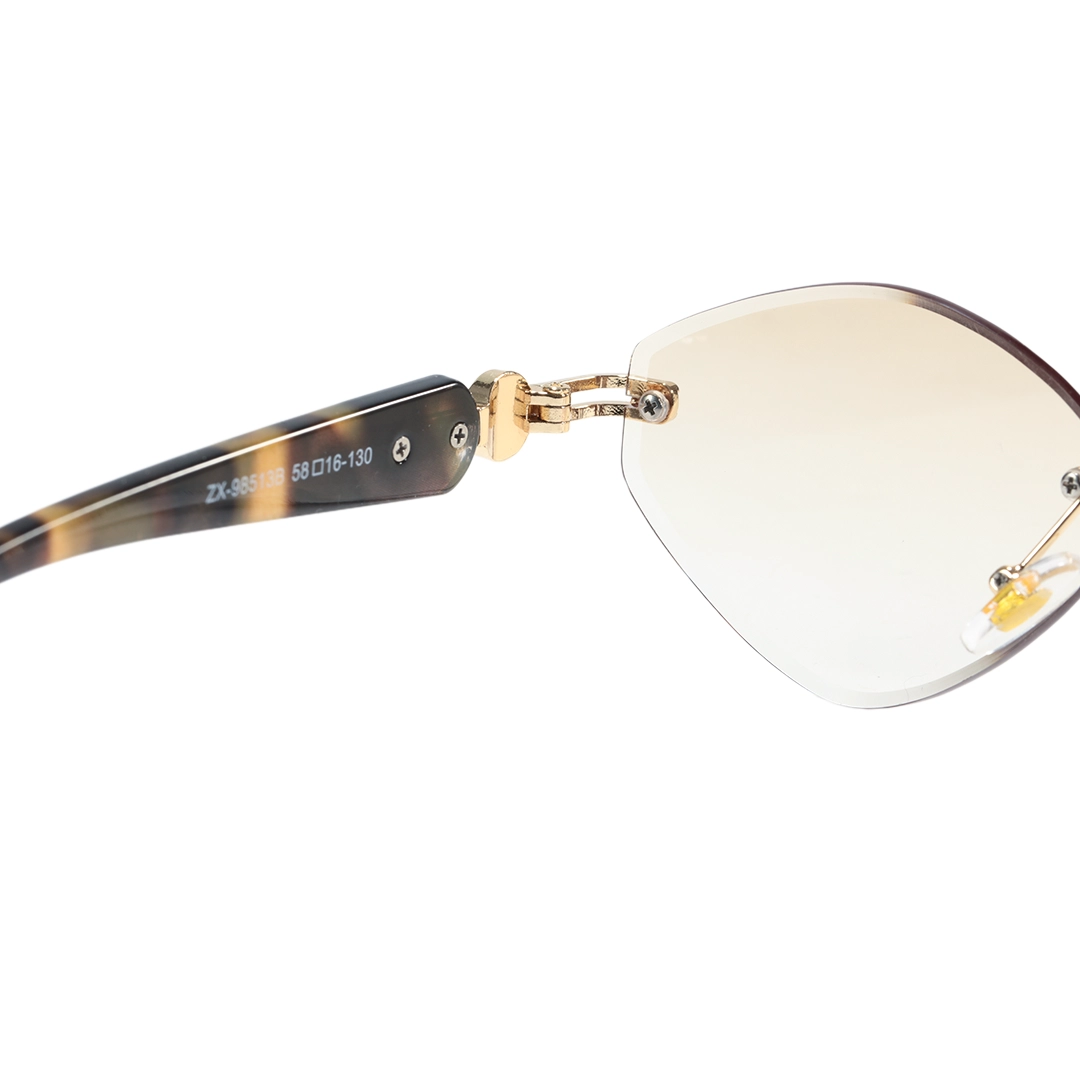 Hinge detail of Ayla fashion geometric pc sunglasses GP0102604 in tortoise