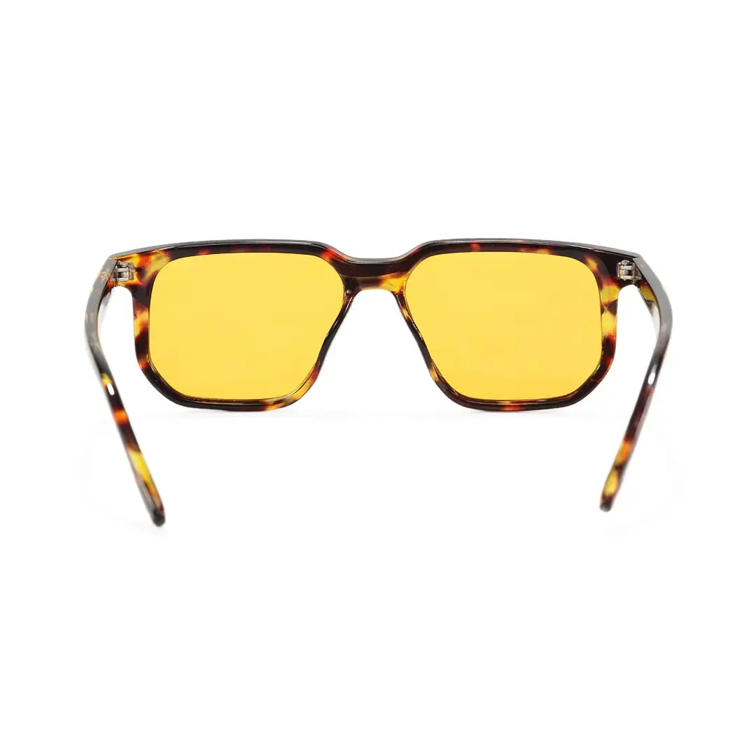 Back view of Lior square pc sunglasses SP0142506 in tortoise