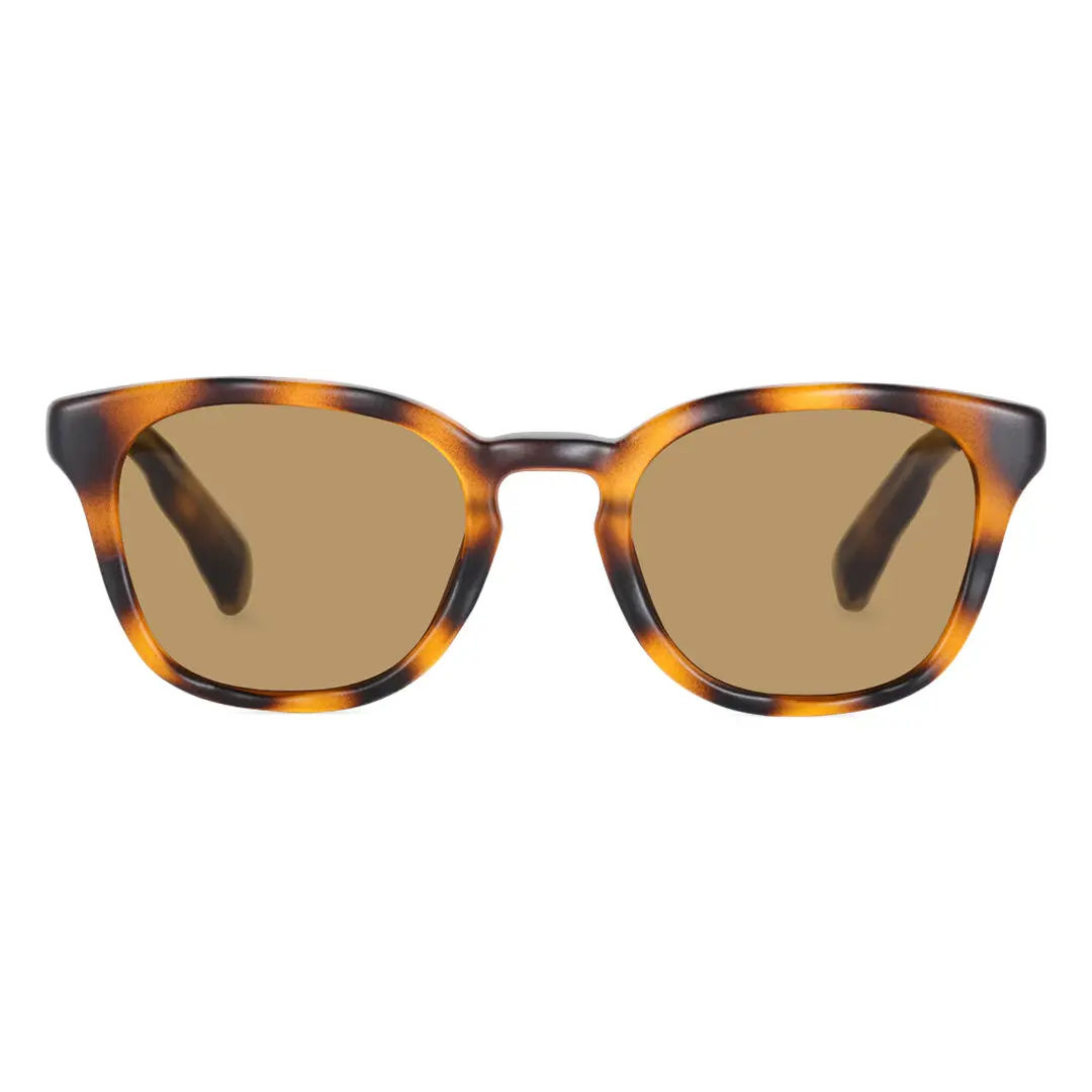 Front view of Avery square pc sunglasses SP0032404 in tortoise