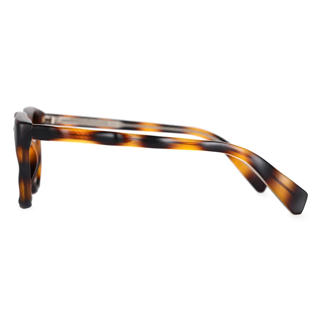Side view of Avery square pc sunglasses SP0032404 in tortoise