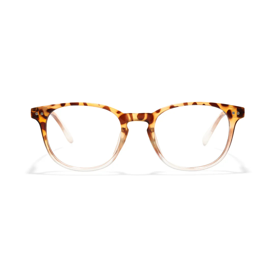 Front view of Baya round pc eyeglasses RP0052502 in brown tortoise